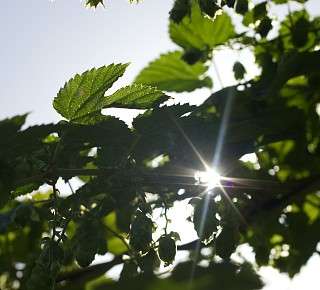 Nachhaltigkeit Stockalperhof Brig